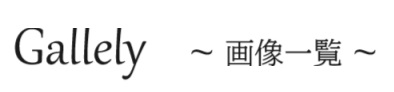 ギャラリー